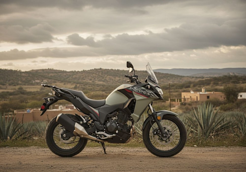 Kawasaki Versys -X 300 ABS Touring Lifestyle2 Galgo