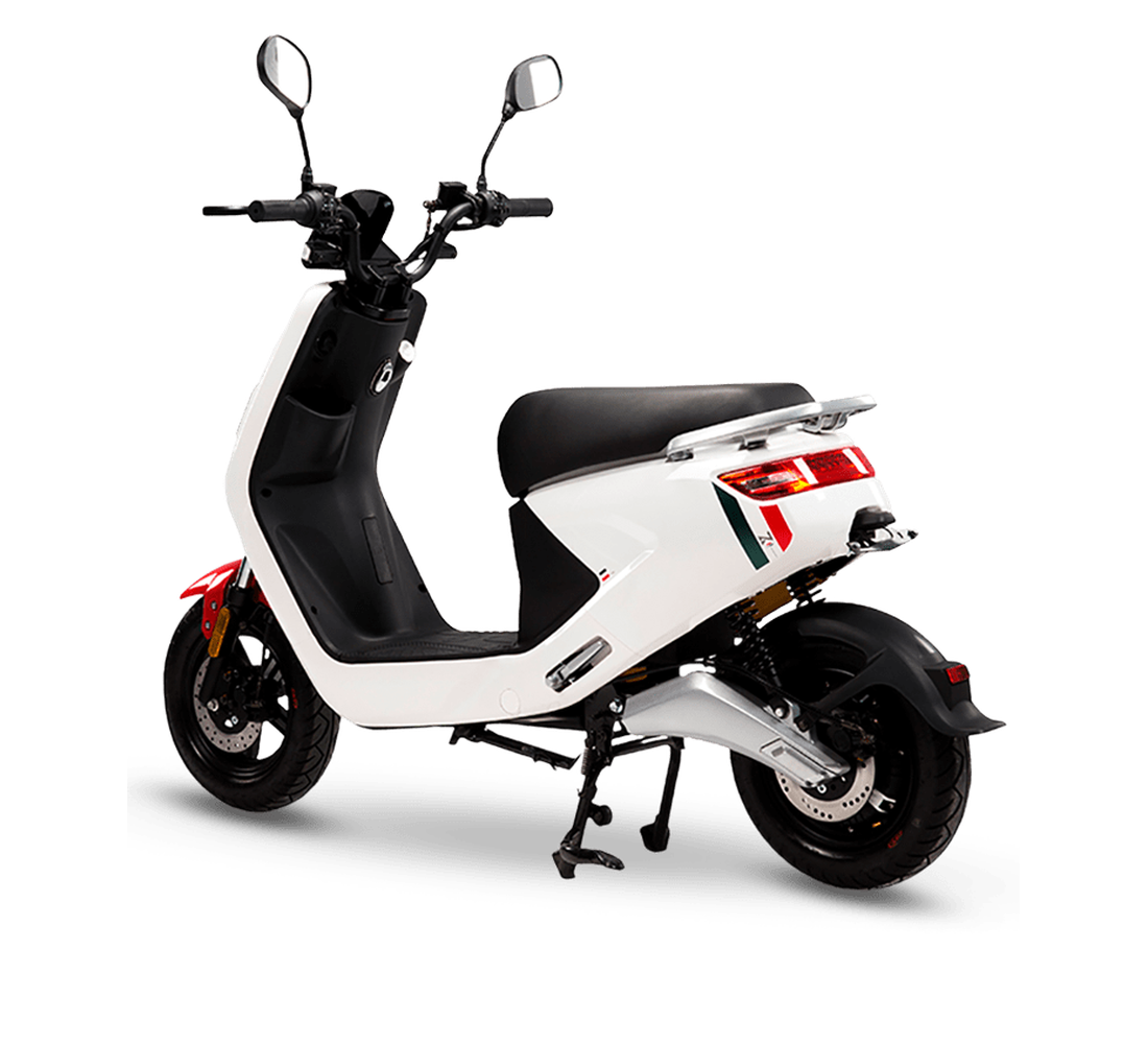 LVN LX 04 Galeria7 Galgo 