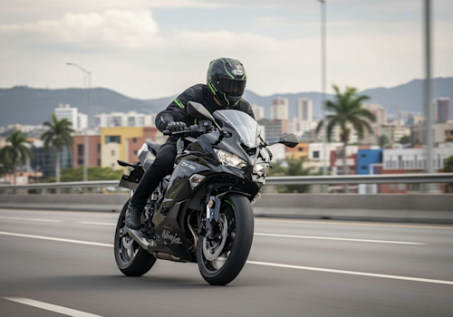 Kawasaki Ninja ZX 4R ABS Lifestyle3 Galgo