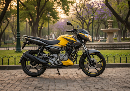 Bajaj Pulsar LS 125 Lifestyle2 Galgo