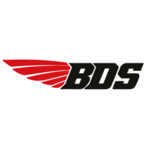 Logo BDS