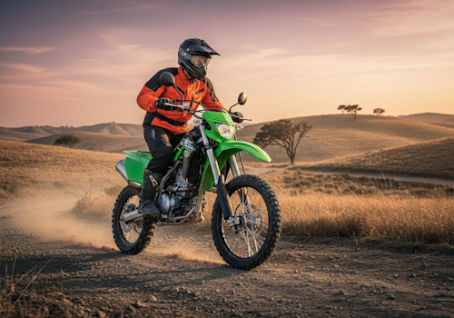 Kawasaki KLX 300 R Lifestyle1 Galgo