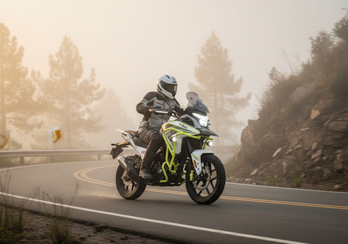 MB GT 300 Lifestyle1 Galgo