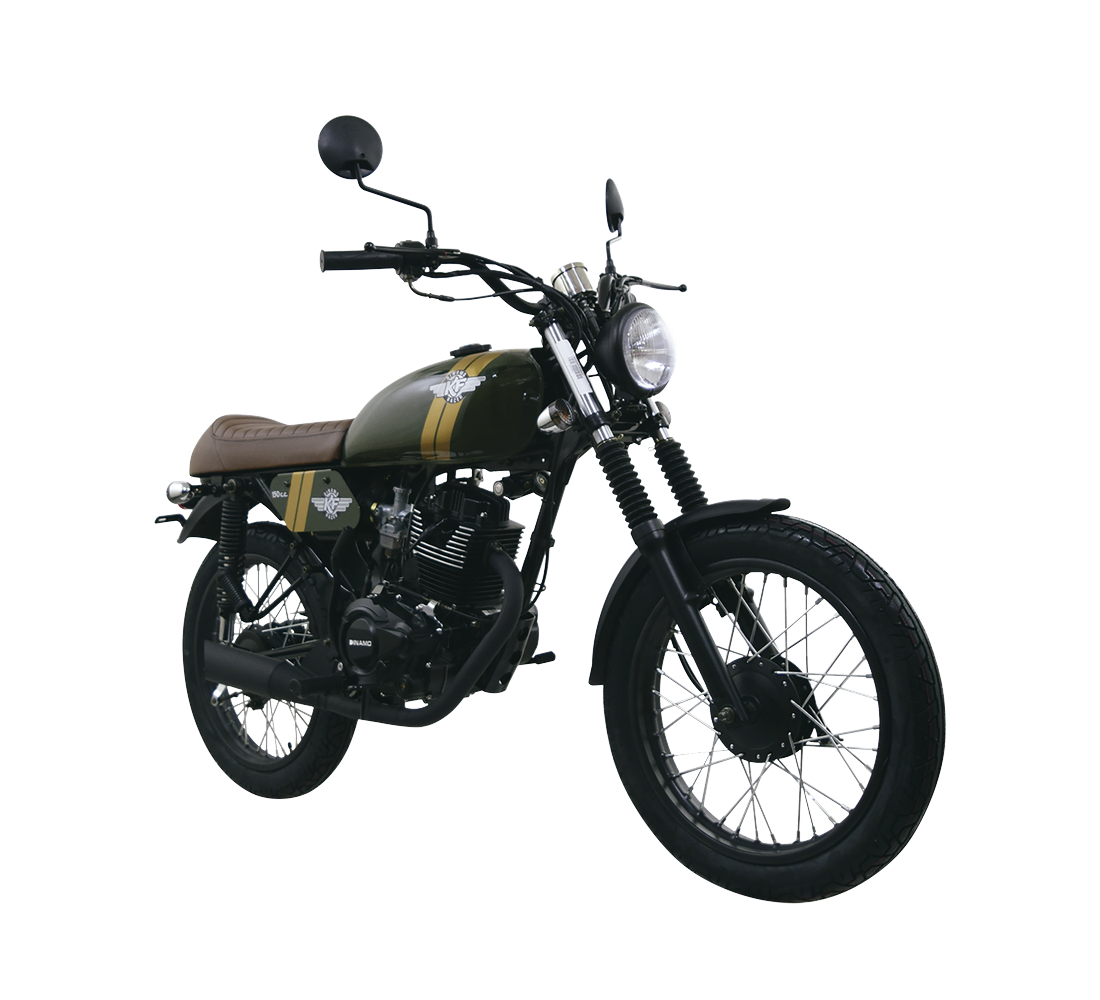 Dinamo KF Racer Galeria4 Galgo México