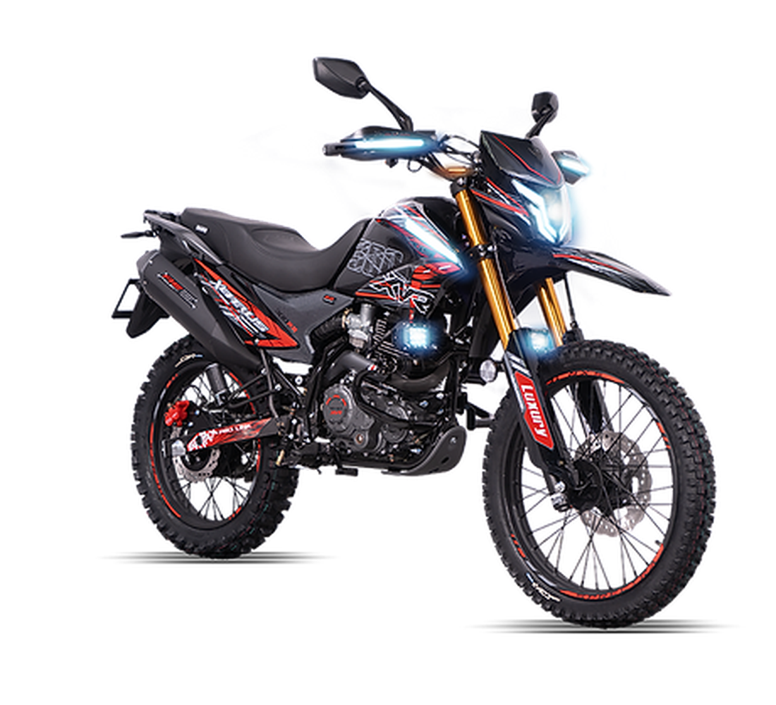 Veloci Xeverus Imagen principal Galgo_1