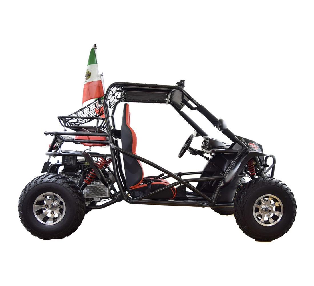 Dinamo Molotov C2 Galeria2 Galgo México