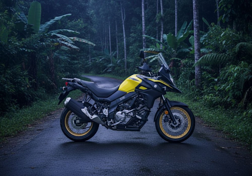Suzuki V-Strom 650 Lifestyle2 Galgo