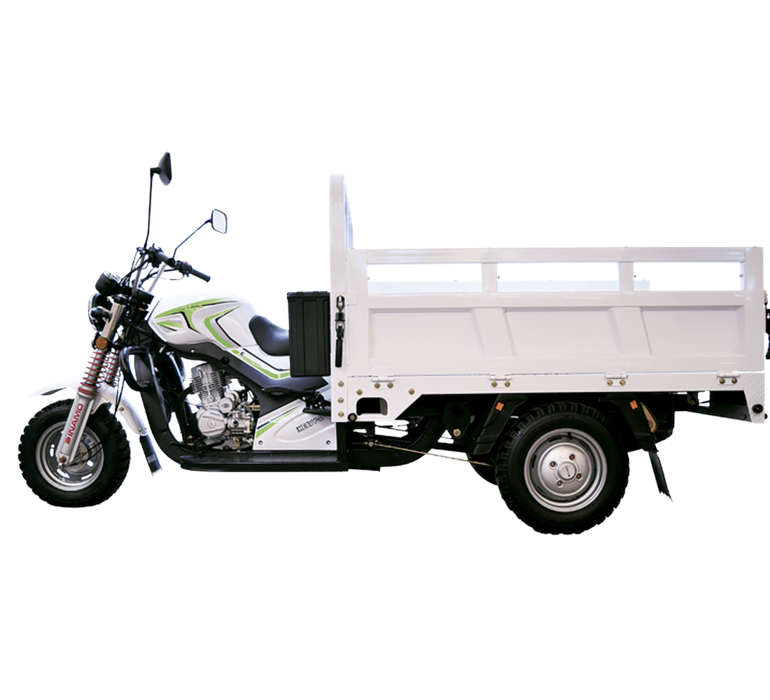 Dinamo Heavy-B Galeria3 Galgo México