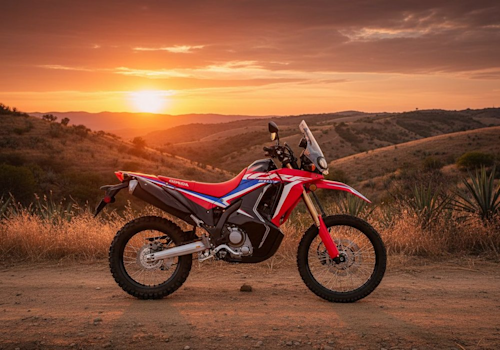 Honda CRF300 Rally Lifestyle2 Galgo