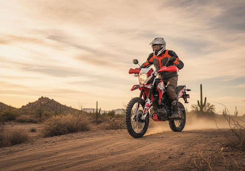 Italika DM 150 Lifestyle1 Galgo