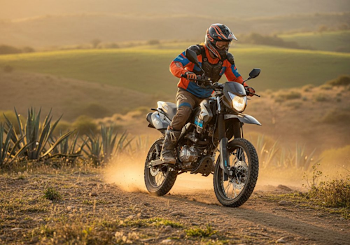 Victory MRX 125 S GP Lifestyle1 Galgo