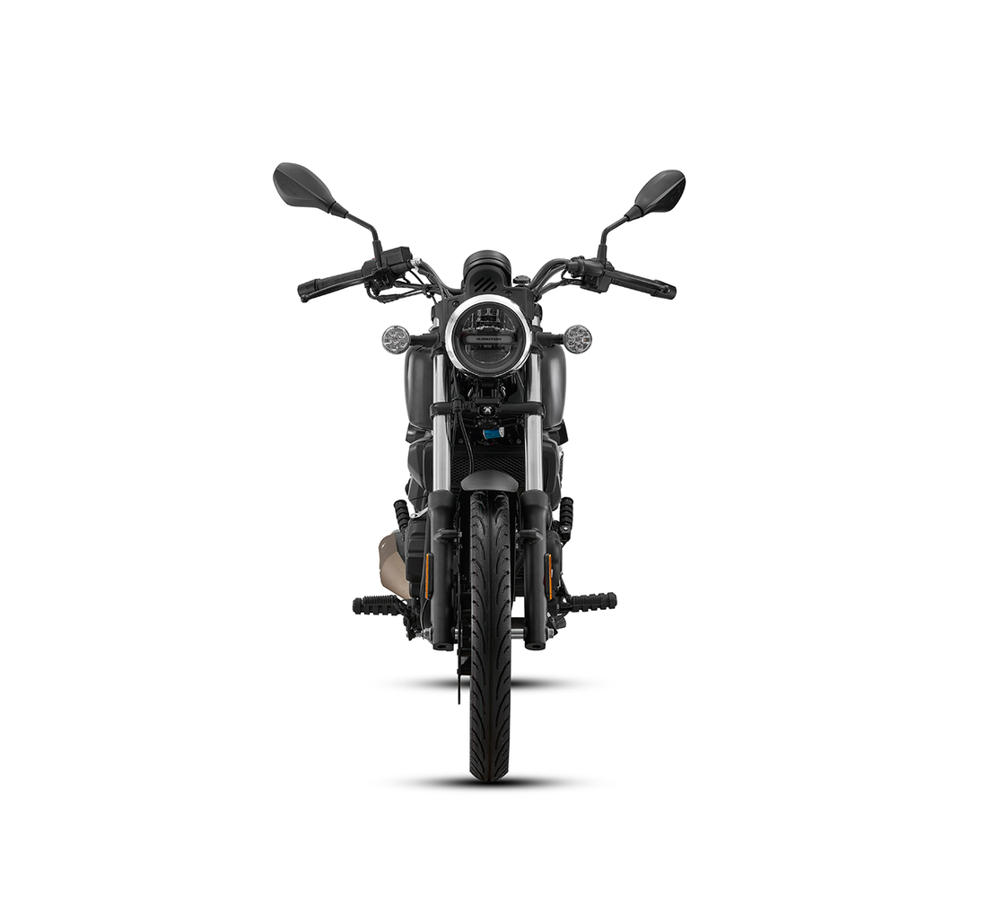 QJ Motor SRV 200 Galeria1 Galgo