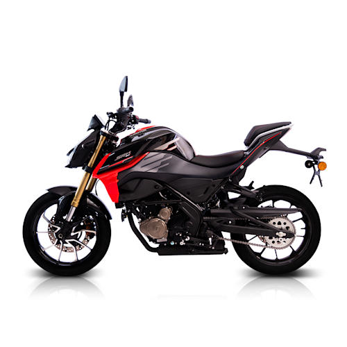 QJ Motor SRK 300 S Galeria9 Galgo