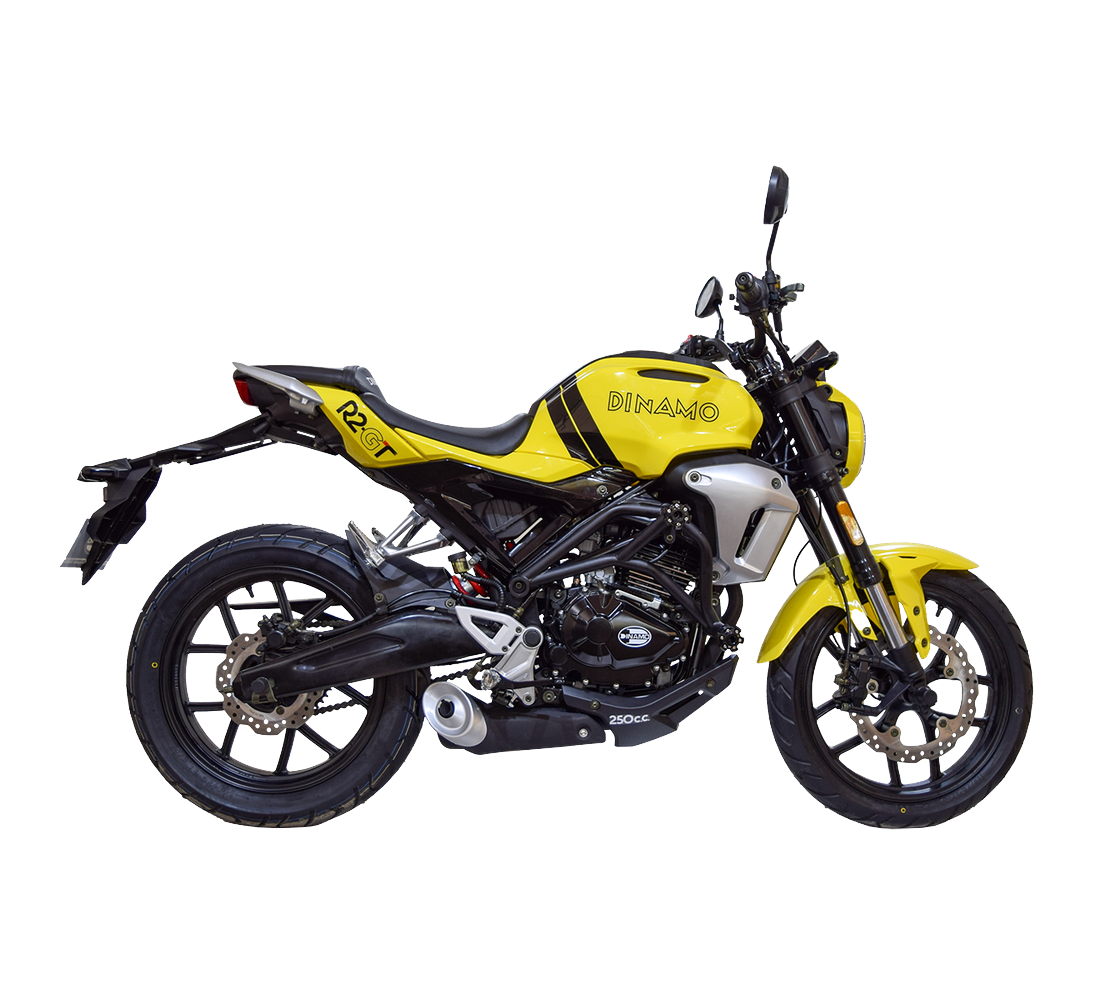 Dinamo Sport R2 Galeria2 Galgo México