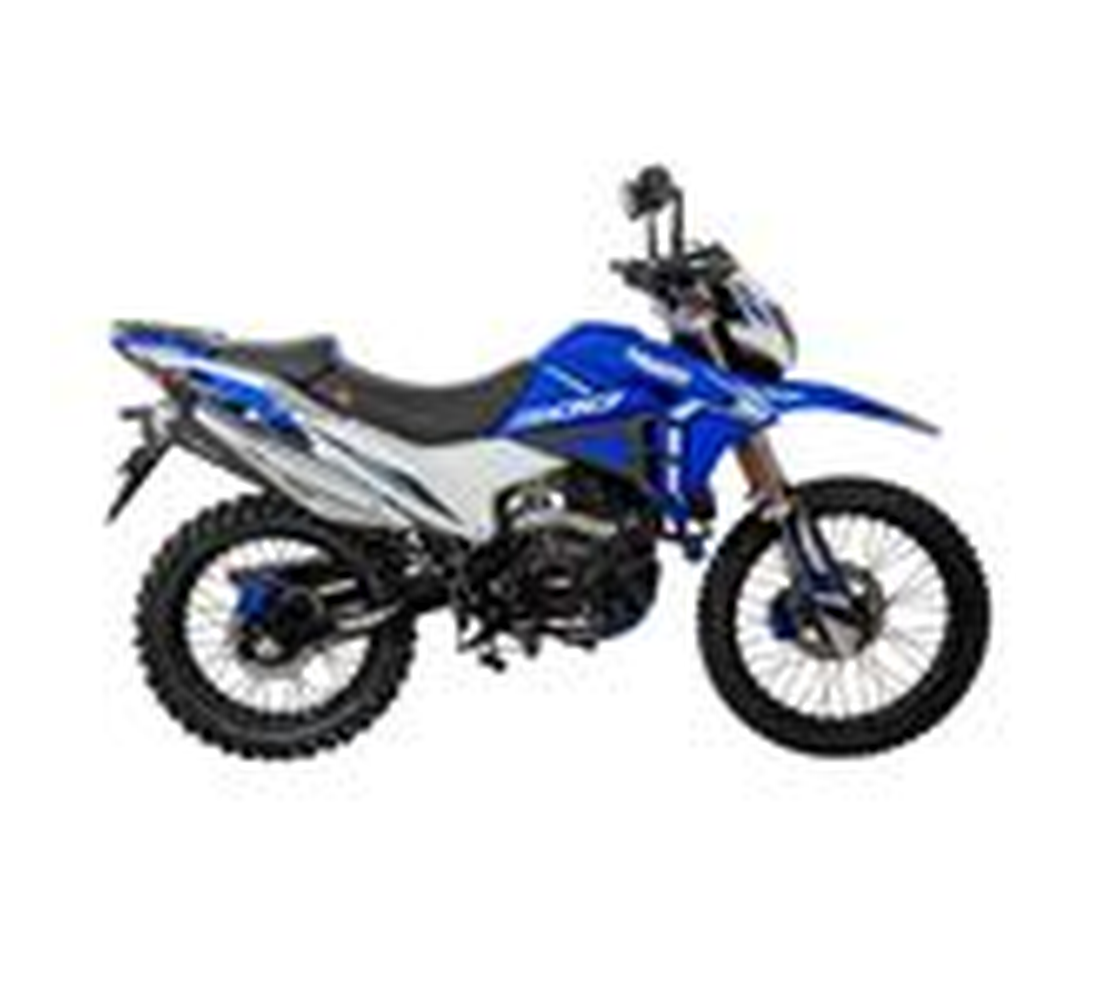 BDS Stark 300 Galeria2 Galgo México