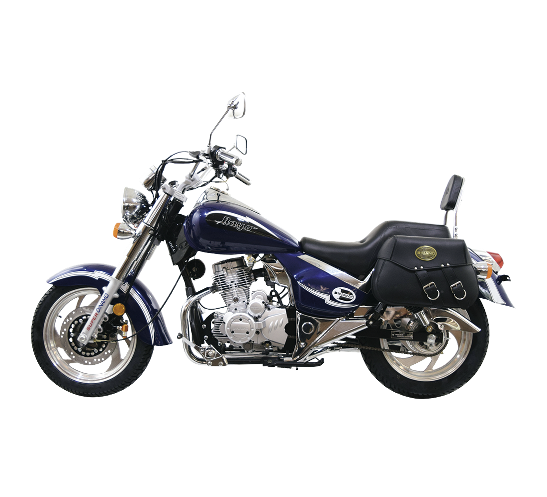 Dinamo Rayo 175 Galeria2 Galgo México