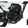 Moto Italika DT125 Delivery Galgo México