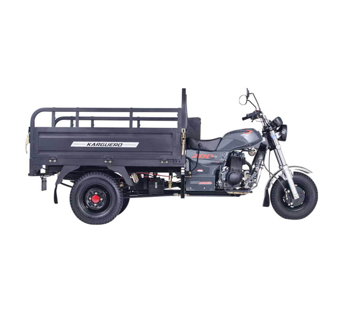 AKT KARGUERO 3W 200-1-Galgo Colombia