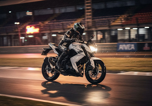 Kawasaki 250 Lifestyle3 Galgo