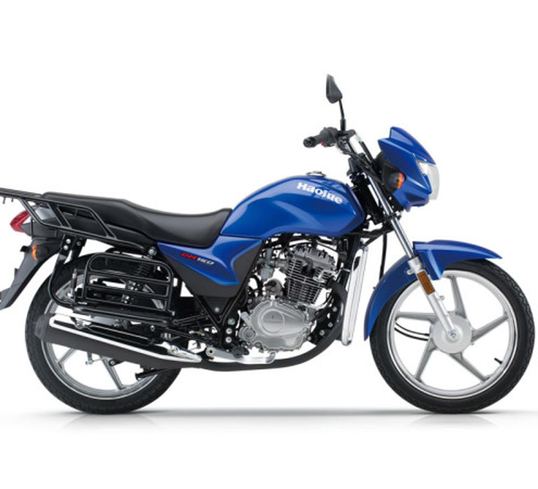 Bolton DM150 Imagen principal Galgo