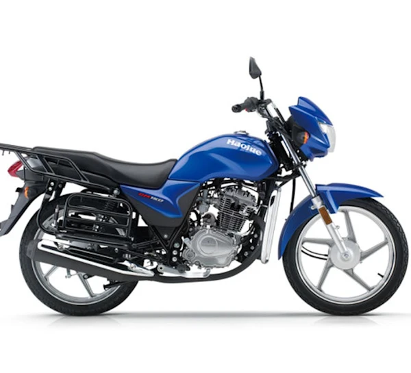 Bolton DM150 Imagen principal Galgo