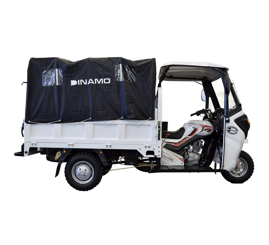 Dinamo Heavy CAB-R Galeria2 Galgo México