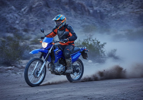 Yamaha XTZ 125 Lifestyle1 Galgo