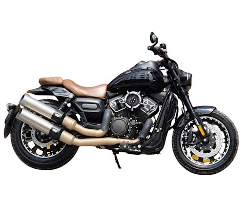 Sharmax RR 661 Galeria1 Galgo