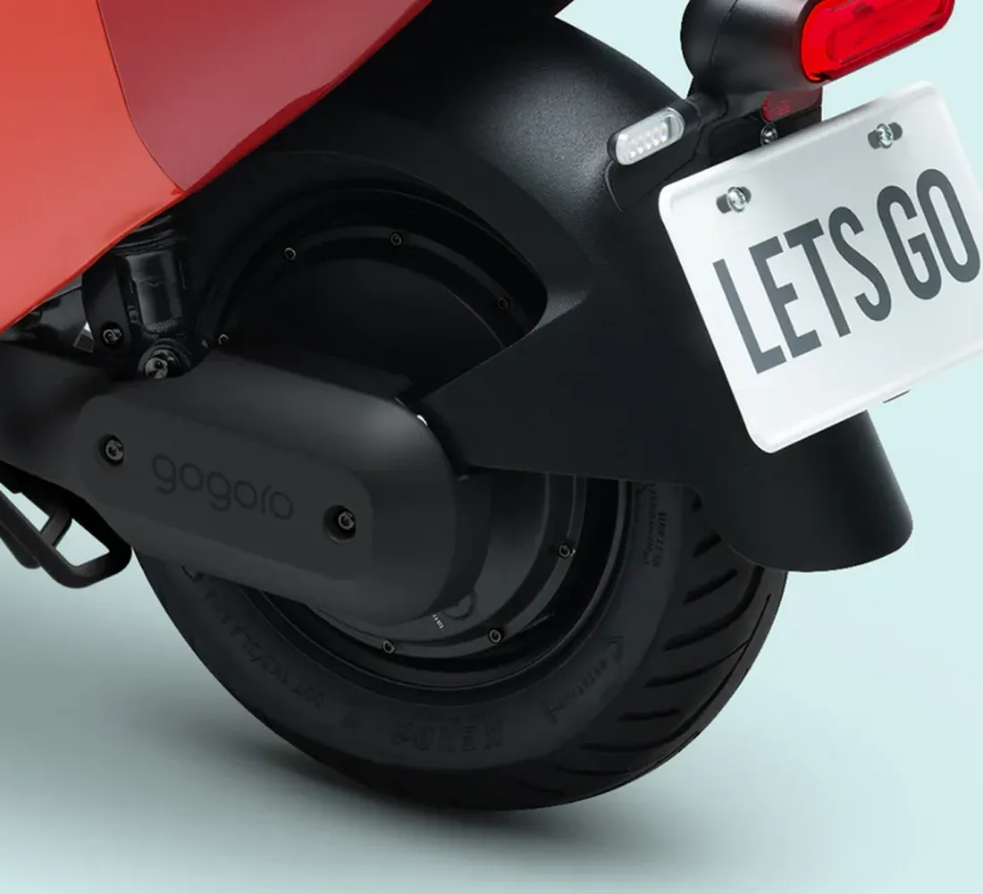 Jego Galeria2 Galgo Chile