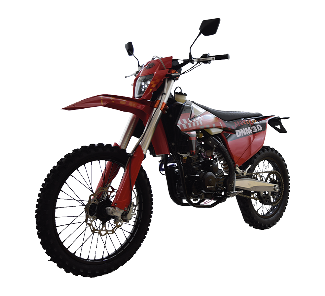 Dinamo DNM 3.0 Galeria1 Galgo México