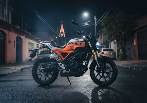 Ryder RD-2-5 250 Lifestyle2 Galgo