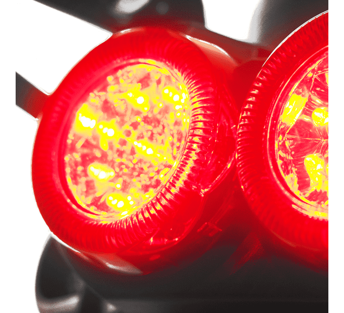 Carabela Islo Rabbit Galeria3 Galgo México