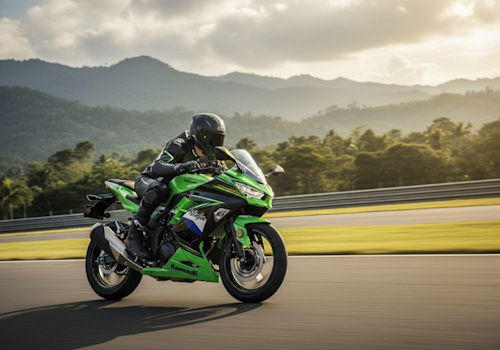 Kawasaki Ninja 300 Lifestyle3 Galgo