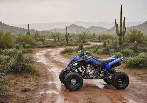 Yamaha YFM700R Lifestyle2 Galgo