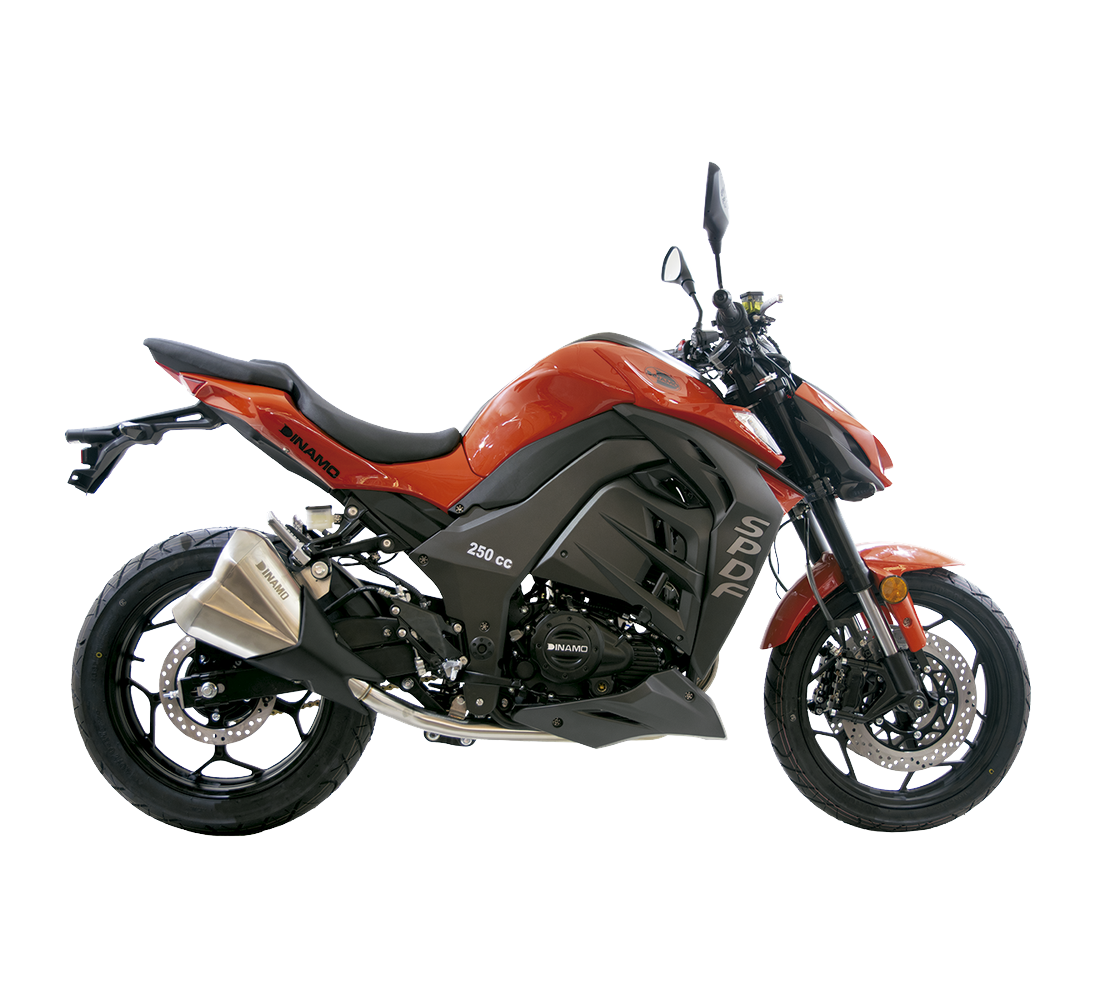Dinamo Speed Fire SPDF 250 Galeria4 Galgo México