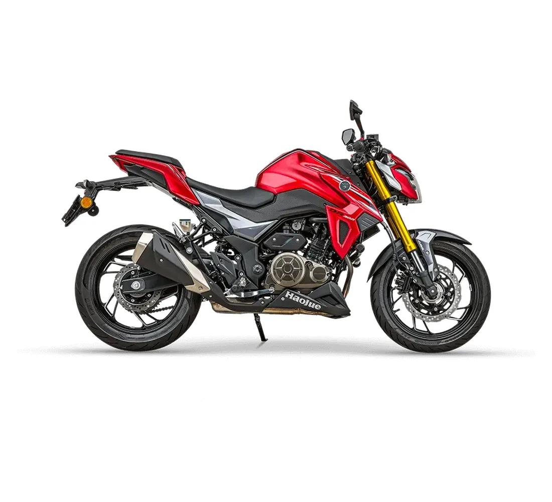 Bolton DR300 Galeria2 Galgo