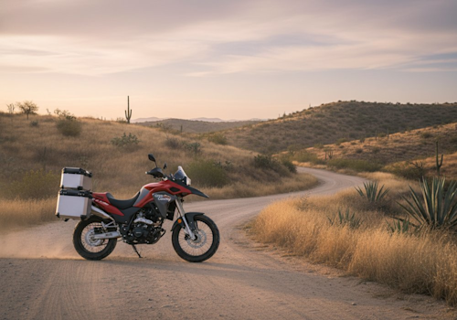 Dinamo Cross Country ADV Lifestyle2 Galgo