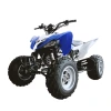 CV Motos ATV 250 Pentora Galgo Chile Carrousel 3