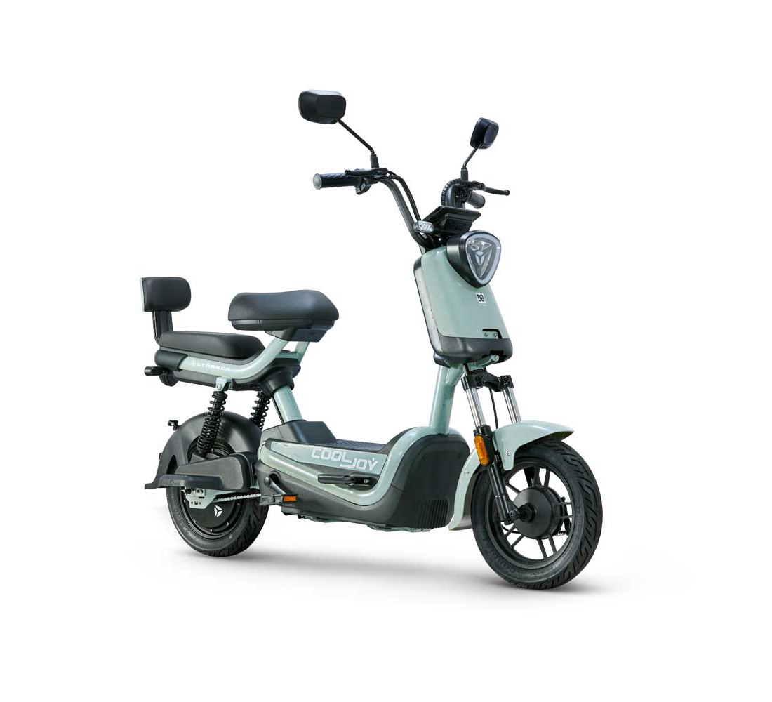 Starker Cool Joy Imagen principal Galgo Colombia