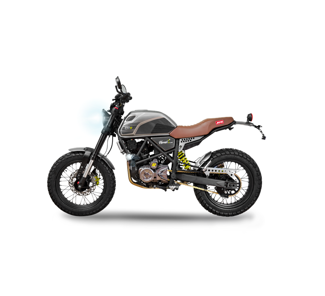 MB Hornet 250 Galeria3 Galgo México