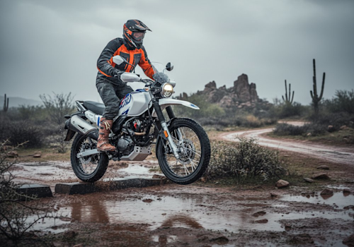 Hero Xpulse 200 FI Lifestyle3 Galgo