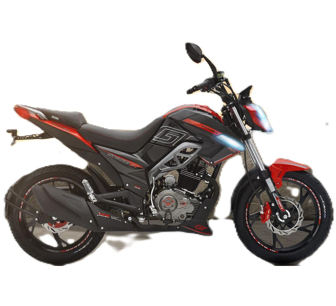 Veloci Snake Galeria2 Galgo