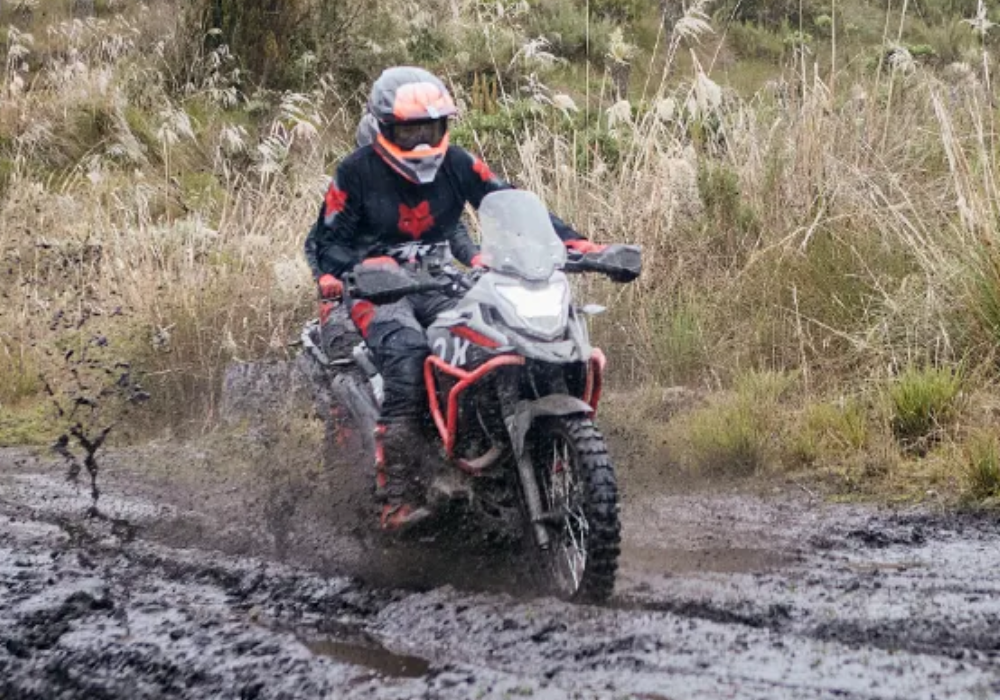 Victory MRX Arizona Fox TK Lifestyle2 Galgo Colombia