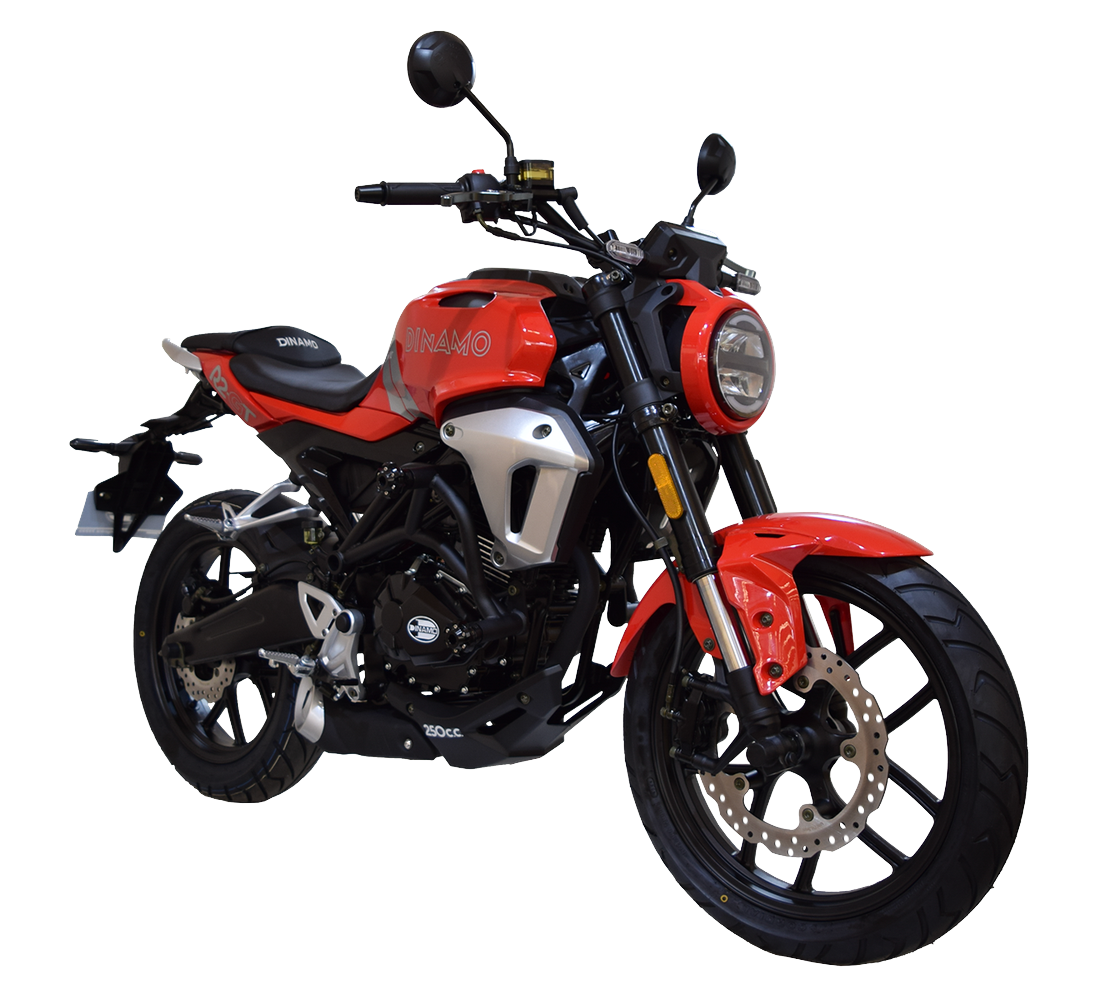 Dinamo Sport R2 Galeria10 Galgo México