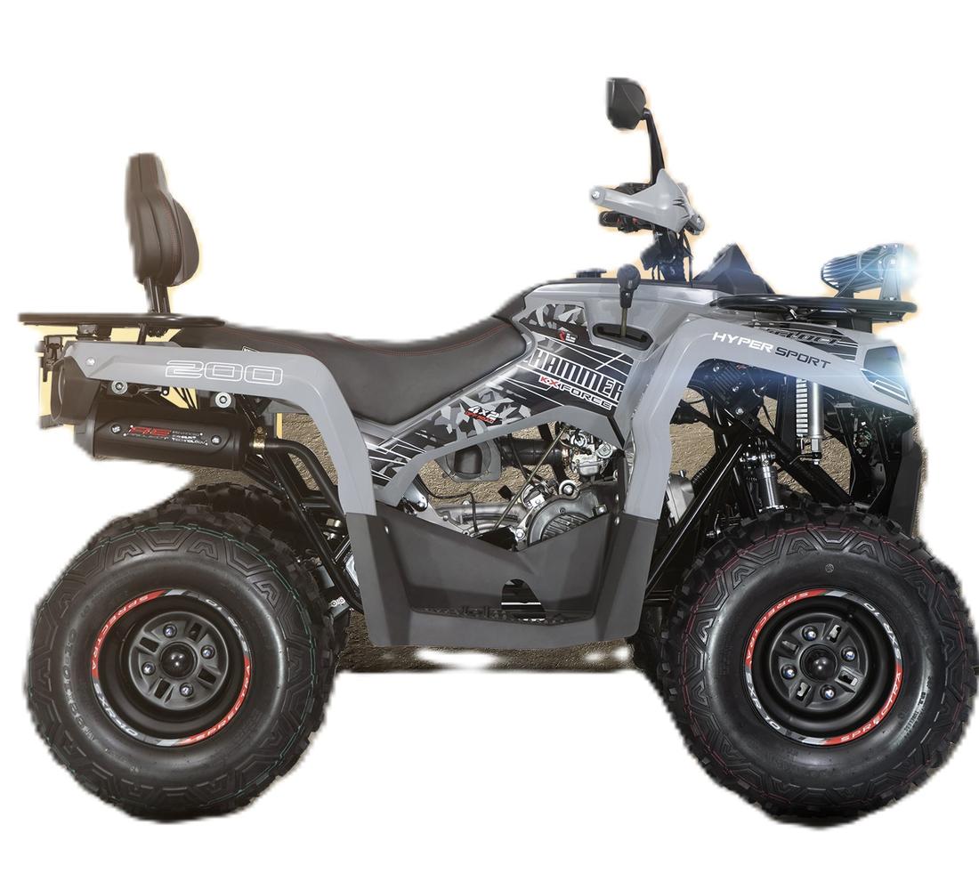 Veloci Hammer KX Force Galeria2 Galgo