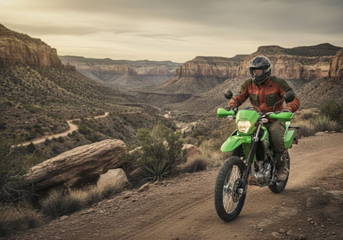 Kawasaki KLX 230 S Lifestyle1 Galgo