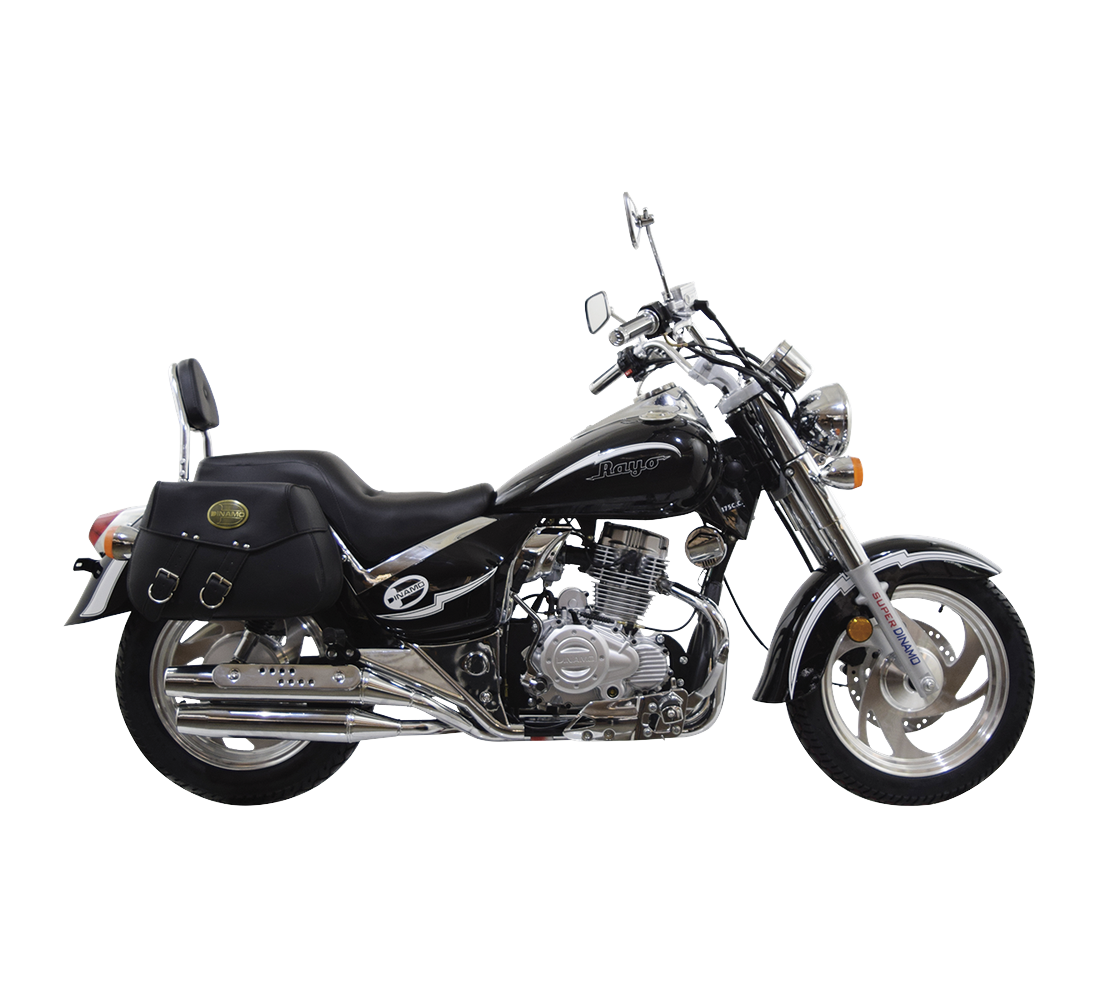 Dinamo Rayo 175 Galeria3 Galgo México