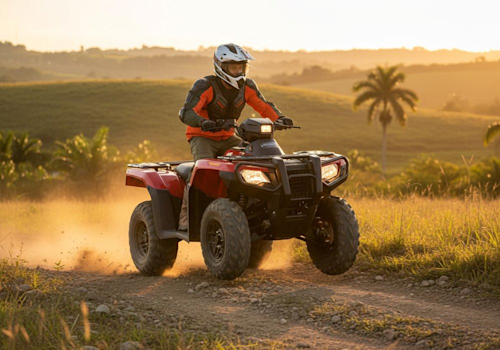 Honda TRX 700 FA5 Lifestyle3 Galgo