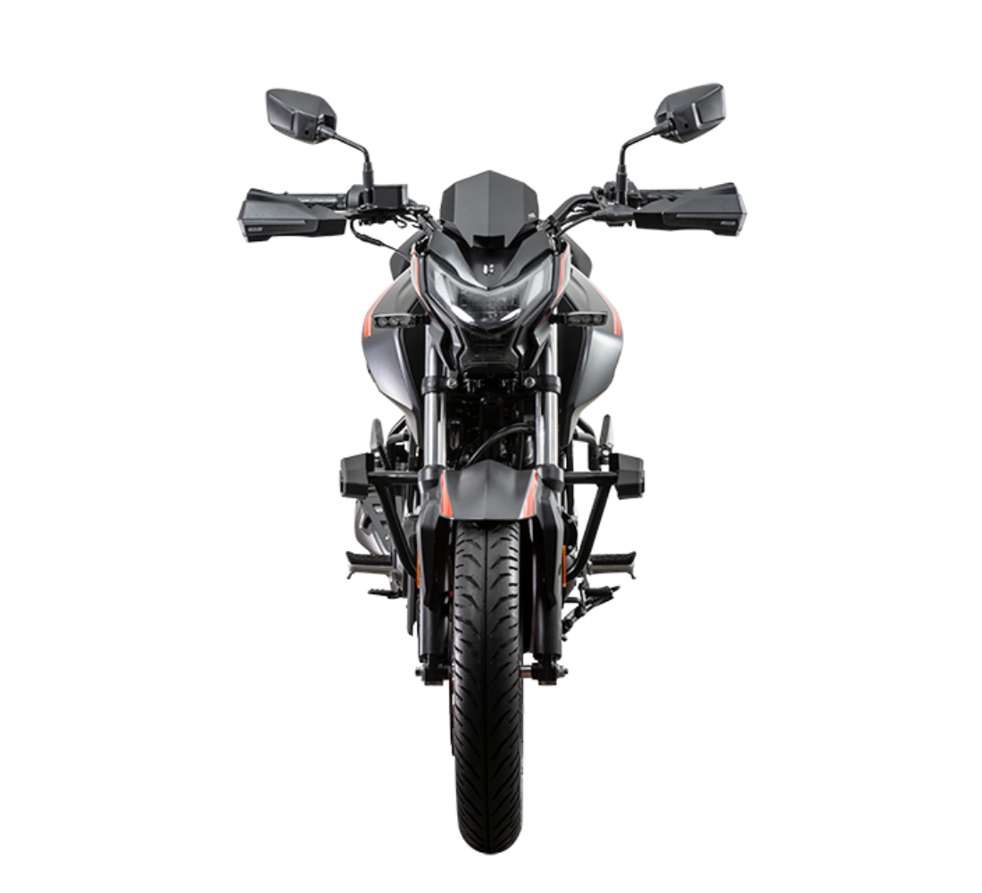 Hero HUNK 160 RS 5