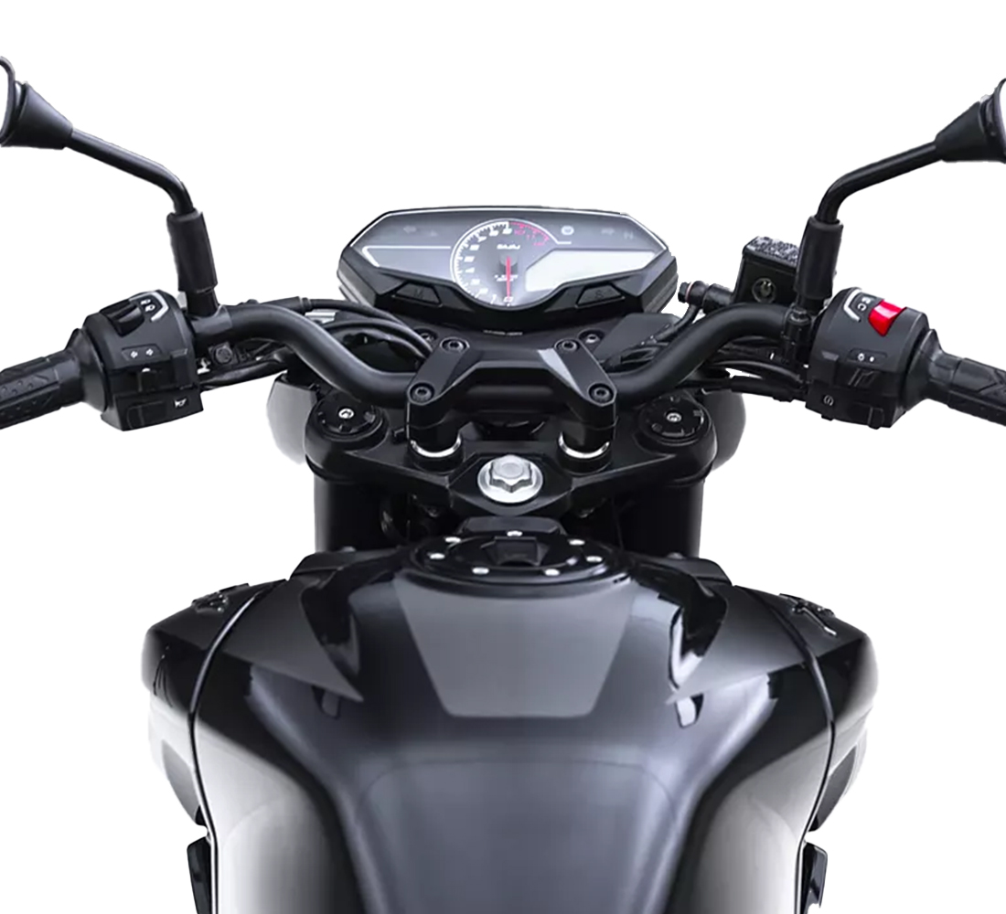 Motocicleta Bajaj Pulsar N250 tablero galgo méxico